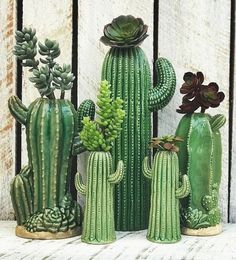 several green cactus plants are sitting on a shelf next to each other in front of a wooden fence