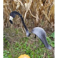 an odd looking bird standing in the grass next to a pumpkin and corn cob