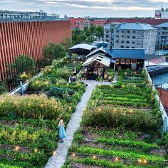 a woman standing in the middle of a garden with lots of plants and buildings behind her