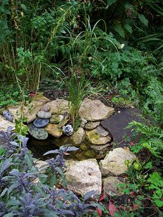 a small pond surrounded by rocks and plants