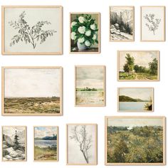 a bunch of pictures hanging on the wall with flowers and trees in them, all showing different types of paintings