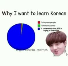 a pie chart with the words why i want to learn korean