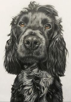 a black and white drawing of a dog's face with orange eyes, looking at the camera