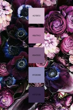 purple and blue flowers are arranged in the same color scheme