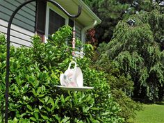 a bird feeder hanging from the side of a tree in front of a house with bushes