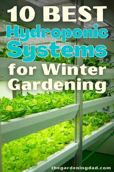 hydroponic systems for winter gardening