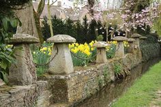 a stone wall with flowers growing on it next to a river in the middle of a garden