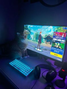 a cat sitting in front of a computer monitor with a keyboard and mouse on it