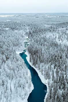 an aerial view of a river surrounded by snow covered trees