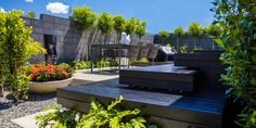 an outdoor patio with wooden steps and potted plants in the foreground, surrounded by greenery