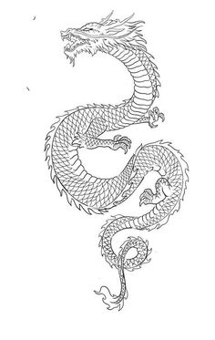 a drawing of a dragon on a white background