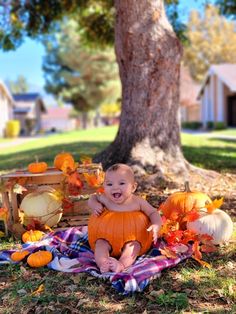 a baby sitting on top of a blanket next to a tree and pumpkins in the grass