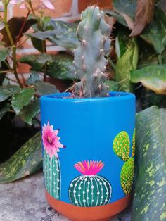 a potted cactus sits next to some plants