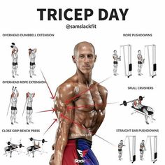 an image of a man doing exercises for his body and shoulders with the words tricep day on it