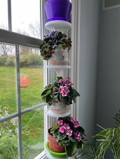 three tiered potted plant stand in front of a window