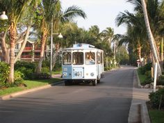 a blue and white bus driving down a street next to palm trees