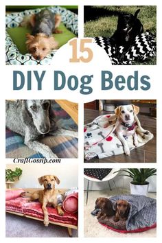 the top 15 diy dog beds that are easy to make and great for small dogs