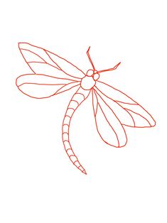 a drawing of a dragonfly on a white background