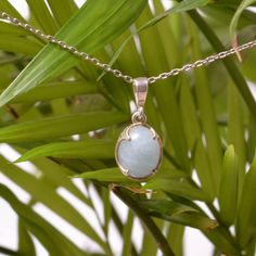 🌊✨ Discover the Magic of Aquamarine with Our Elegant Sterling Silver Necklace! ✨🌊 Are you looking for a unique and beautiful piece of jewelry that not only looks stunning but also carries a special meaning? Look no further! Our Aquamarine Pendant Necklace is here to bring a touch of elegance and a splash of courage into your life. 💙💫 This exquisite necklace features a natural aquamarine stone, renowned as the Stone of Courage. 🐟✨ Aquamarine is said to calm the mind, soothe the soul, and bri Aquamarine Cabochon Jewelry Gift, Aquamarine Jewelry Gift, Aquamarine Stone Jewelry Gift, Aquamarine Pendant, Aquamarine Stone, Natural Aquamarine, Chic Accessories, Necklace Sterling Silver, Perfect Gift For Her