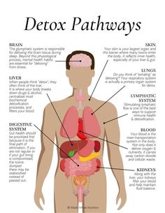 Detox Pathways, Functional Health, Motivasi Diet, Inner Health, Health Research, Hormone Health, Health Habits, Health Knowledge