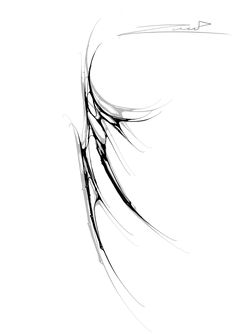 a black and white drawing of a bird's tail