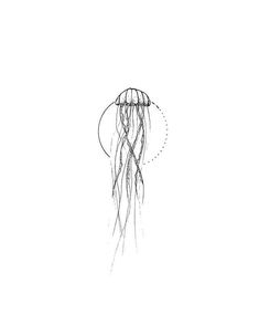 a black and white drawing of a jellyfish