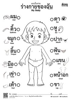 an image of a child's body in thai language