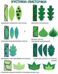 an image of different types of plants and leaves in russian language, with instructions on how to cut them