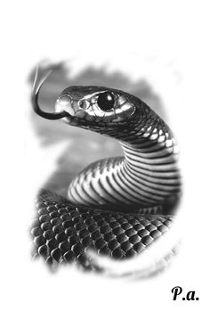 a black and white photo of a snake's head with the words p a on it