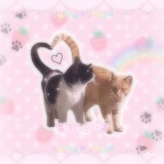 two cats standing next to each other on a pink background with hearts and paw prints