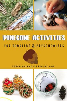 pinecone activities for toddlers and preschoolers