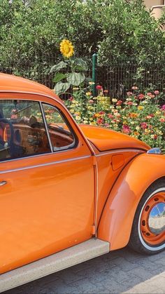 an orange vw bug parked in front of a flower garden with people inside it