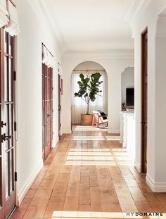 the hallway is clean and ready for guests to use it as an entrance way into the house