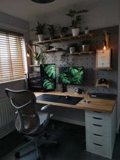 a desk with two computer monitors on top of it and plants in the window sill