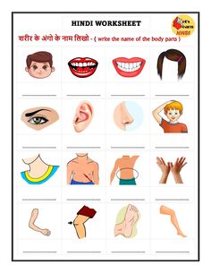 an english worksheet with pictures of different body parts and their names in hindi