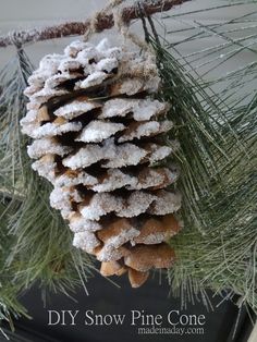 a pine cone hanging from a tree branch with snow on it and the words diy snow pine cone