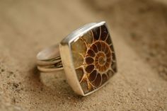 Ammonite Fossil Sterling Silver Ring - Etsy Ammonite Jewelry, Aries Aesthetic, Fossil Ring, Piercing Inspo, Ammonite Fossil, Setting Ideas, Agate Earrings, Dendritic Agate, Funky Jewelry