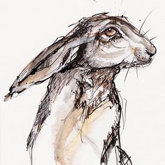 a drawing of a brown and white rabbit