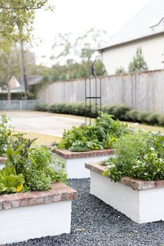 several white planters filled with different types of plants