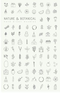 the nature and botanical icons are drawn in black ink on white paper, with text that reads