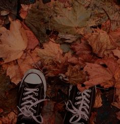 a pair of black and white shoes sitting on top of leaves