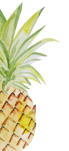 a watercolor painting of a pineapple