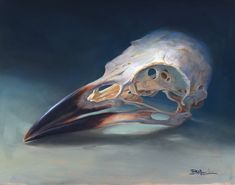 a painting of a bird's skull with a large beak