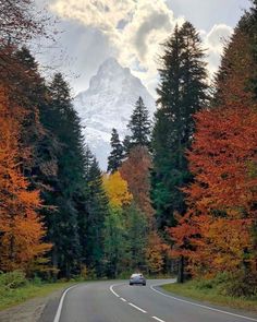 a car is driving down the road in front of some trees with orange and yellow leaves