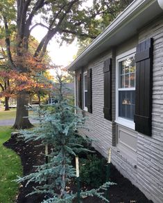 a small tree in front of a house