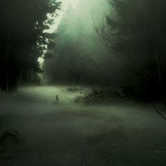 a foggy forest filled with lots of trees next to a person on a bike