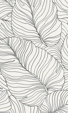 a black and white drawing of leaves with lines on the bottom, as well as an outline