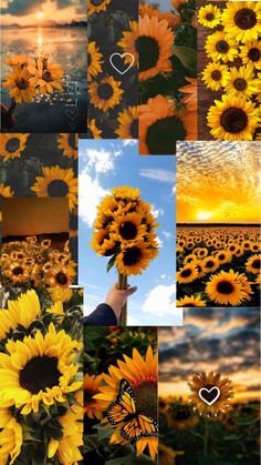 sunflowers and butterflies are shown in this collage with the sky above them