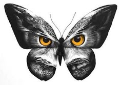 a drawing of a butterfly with yellow eyes on it's wings is shown in black and white