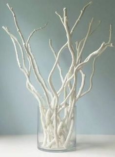 a vase filled with white branches on top of a table next to a blue wall